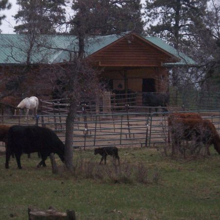 Elktrace Bed And Breakfast Pagosa Springs Buitenkant foto