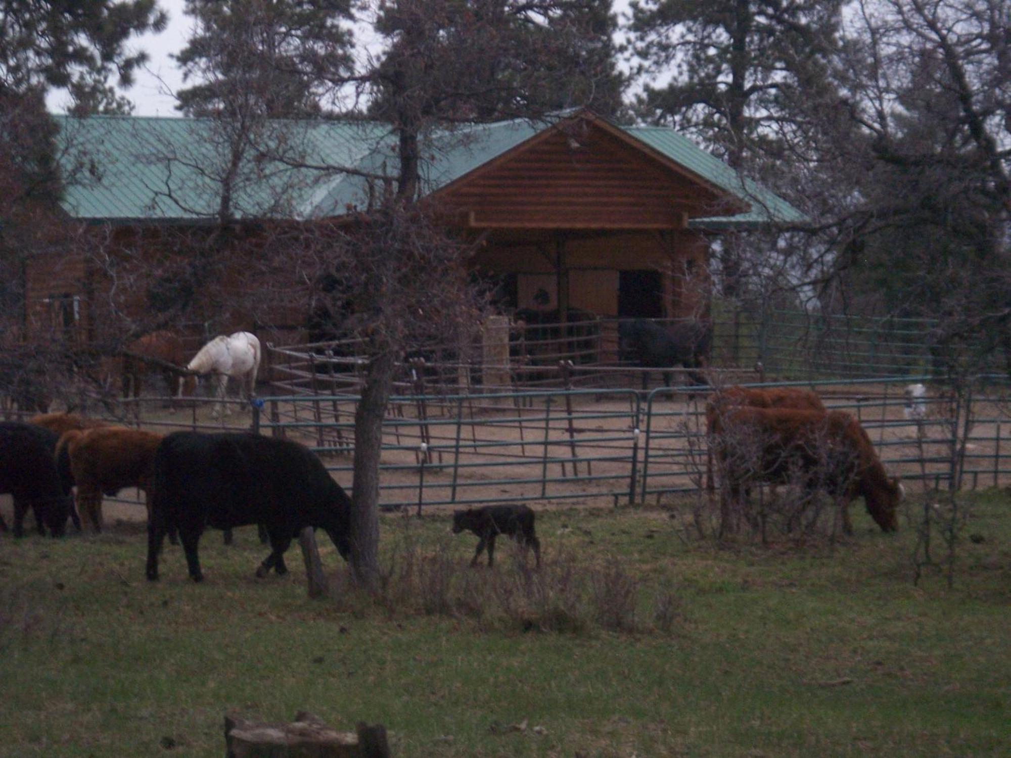 Elktrace Bed And Breakfast Pagosa Springs Buitenkant foto