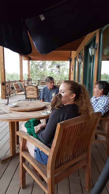 Elktrace Bed And Breakfast Pagosa Springs Buitenkant foto
