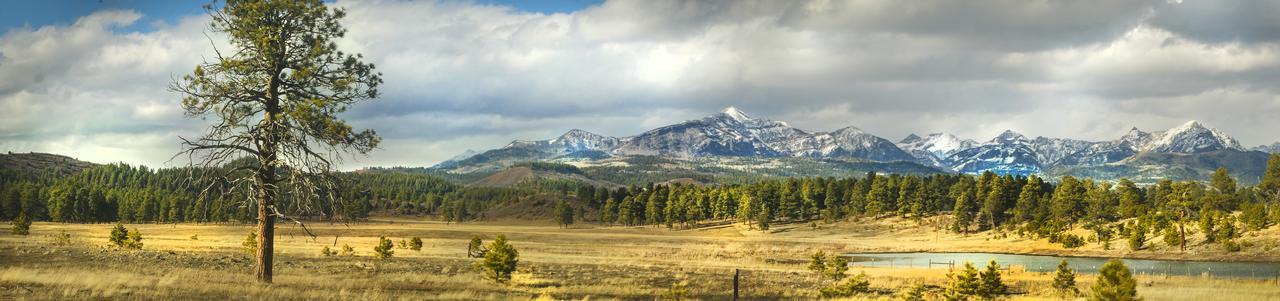 Elktrace Bed And Breakfast Pagosa Springs Buitenkant foto