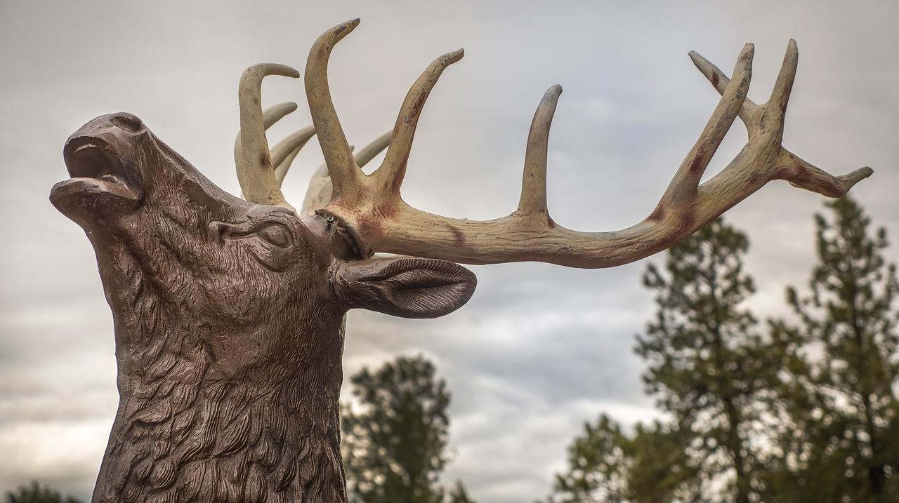 Elktrace Bed And Breakfast Pagosa Springs Buitenkant foto